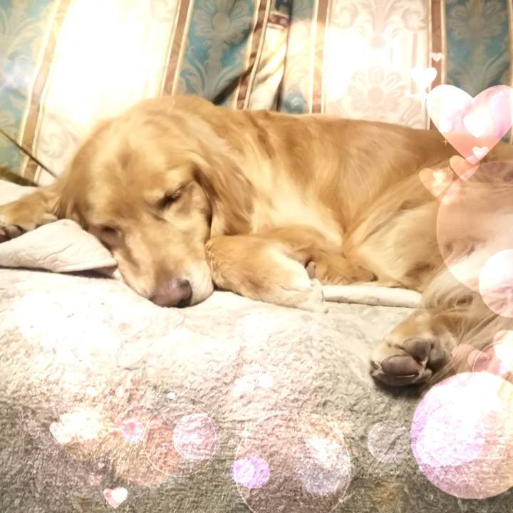 67339202 d02f 4066 bf89 be7717dcc666 1551919828625