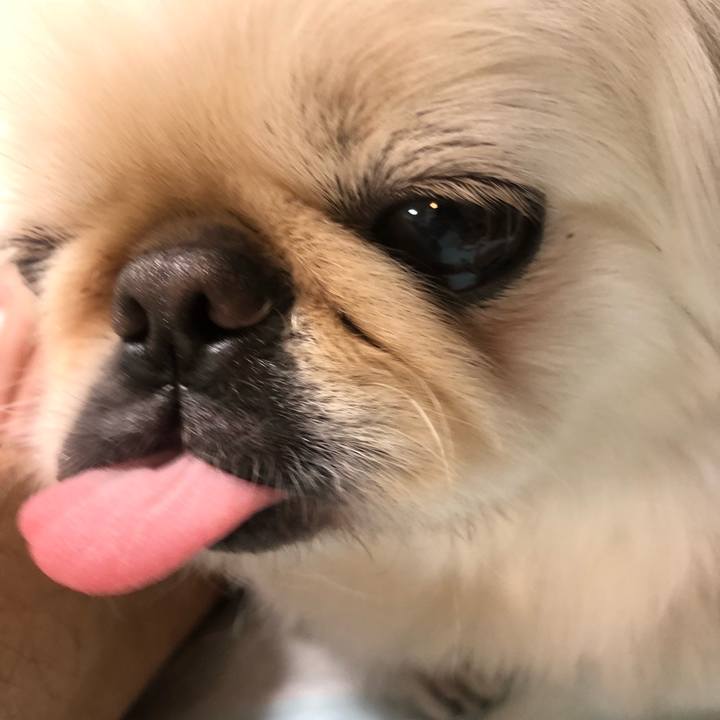 6733a09c 1894 4b7a 9cad f4e981767e3b 1563400494799