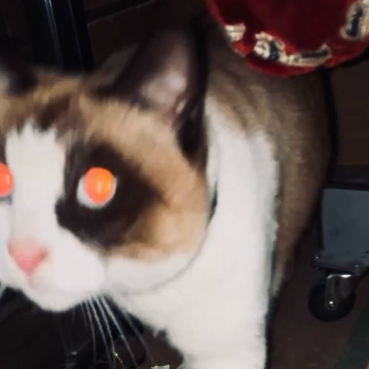 6733a9c0 8ab7 41b4 a619 555e6902a5c9 1734764625840