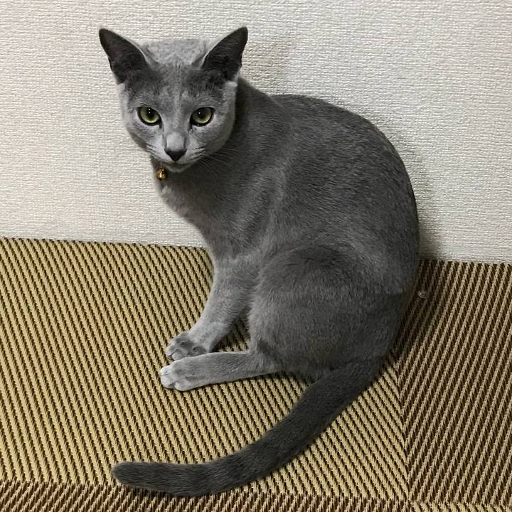 6733e855 7caf 400d ba3d 92f4db0a83c9 1520416740809