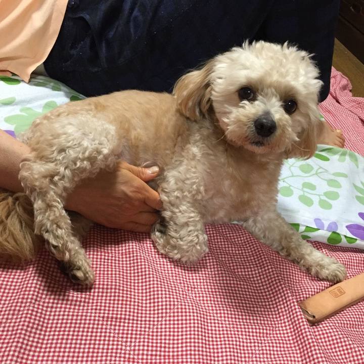 67341df0 f41f 4bdf 97db 239eb101554b 1527686920344