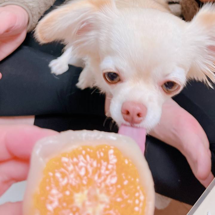 67343912 055a 49dc 81d4 3f19d9536fa3 1673862121370