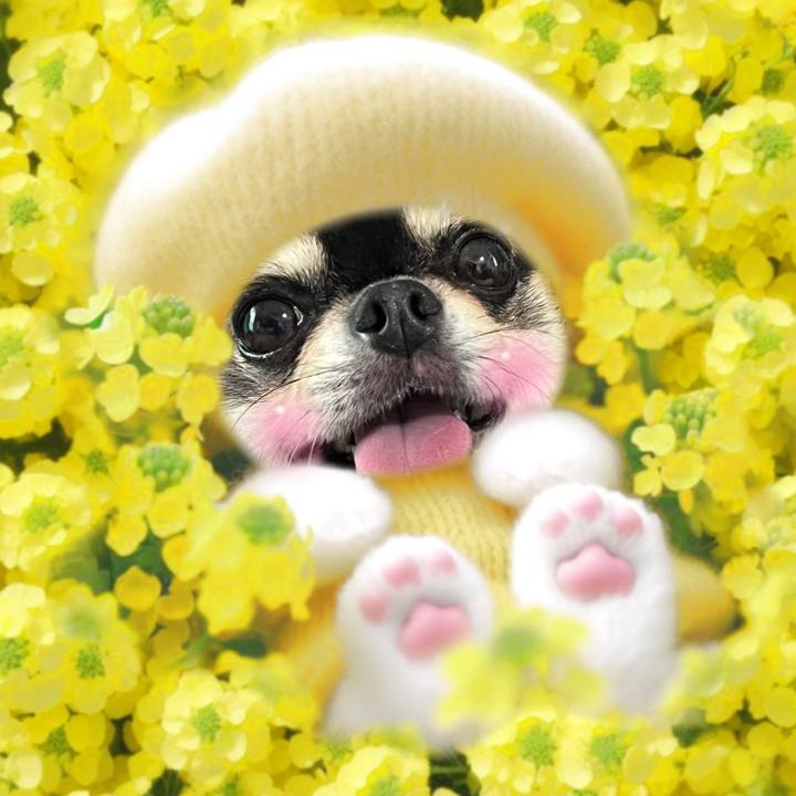 67344175 1cab 4fb3 be4c f46ee3e3f504 1717201288702