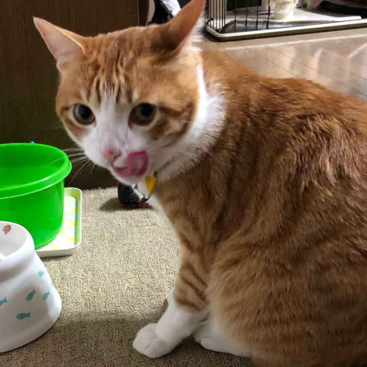 67346da2 cbe9 4f29 95ef 546ecbcdd7a9 1557321061115