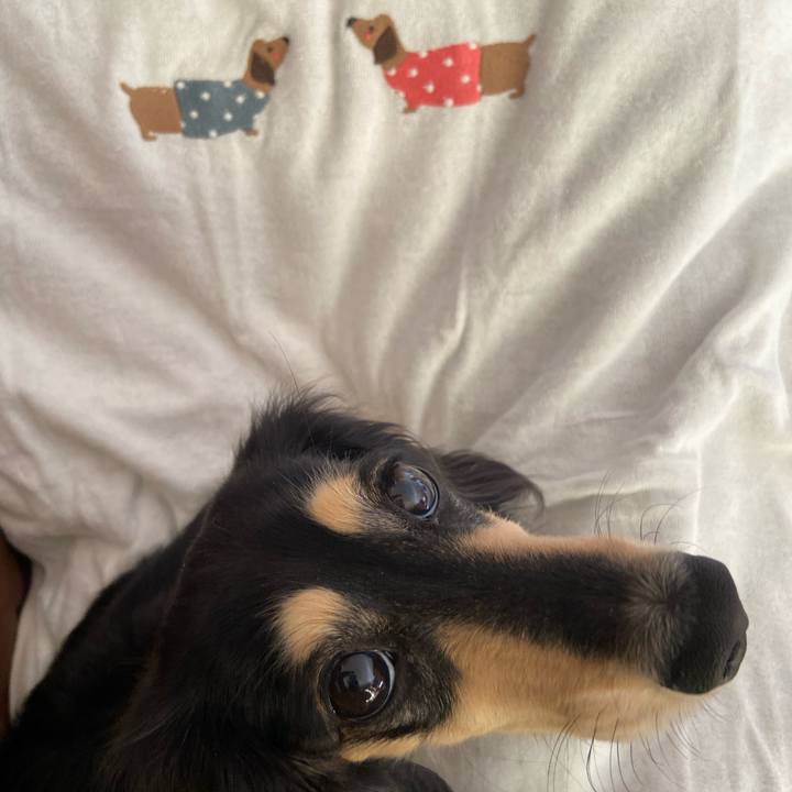 6734abab b5ad 4e51 8184 beedd9d247b5 1737680891166