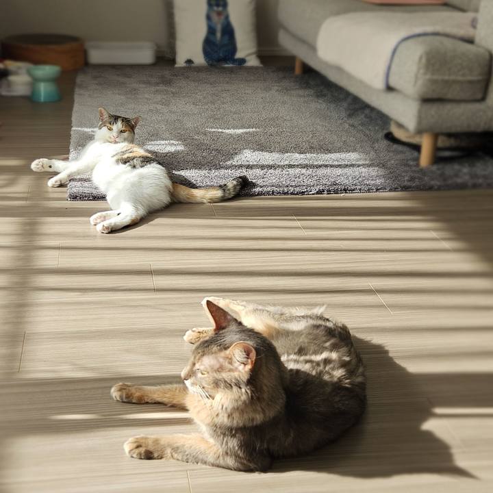 6734b366 46e4 42c9 91f7 7a868ac1e7c7 1762736571581