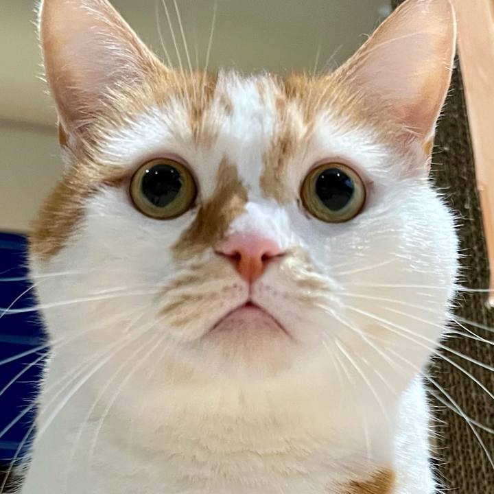 6734cdb0 4f58 45c5 a462 0c2223b4207a 1765597405826