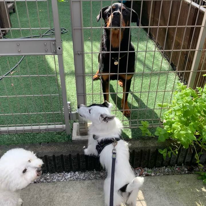 6735039d 4800 45c1 a80c 31c644e944bc 1750979470291