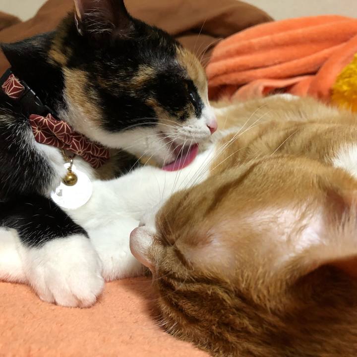 67352334 fc74 433d 9b3e 6c58328451a5 1556018316494