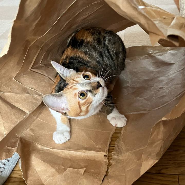 673553c8 aa12 417d bf6a 24a9c2241acc 1661643363946