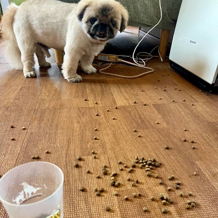 673559cc 3b2d 4e9c 92d1 fd4ce24a9f4d 1761969574309