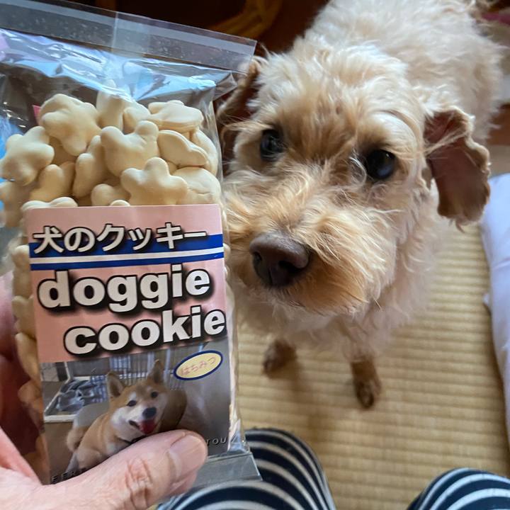 67358a1b 1002 4927 93f2 ed325f7c770d 1650275787326