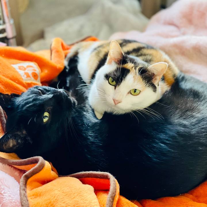 67358e30 a737 4733 9a61 486cf9d71f22 1605146595171