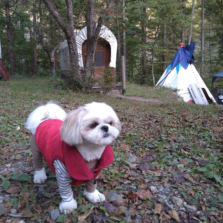 67361f62 c590 49b1 8498 af6bcbf6e1cd 1635076253997