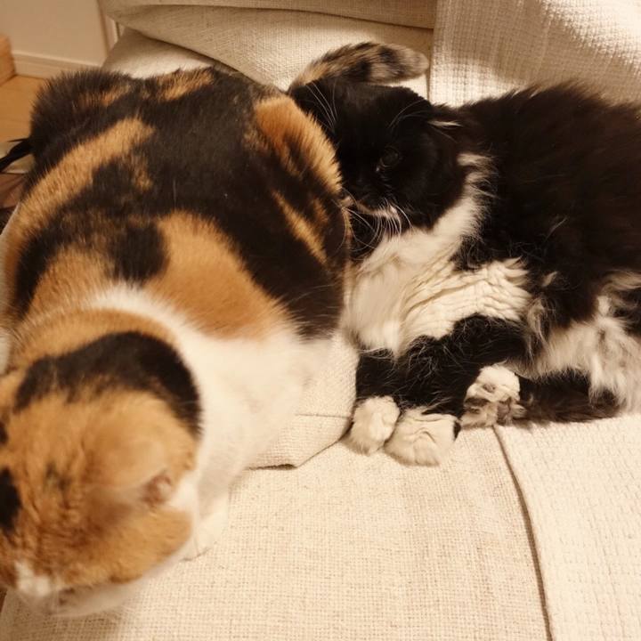 67364331 ca03 4775 b030 fe6df6b7f207 1512918601220