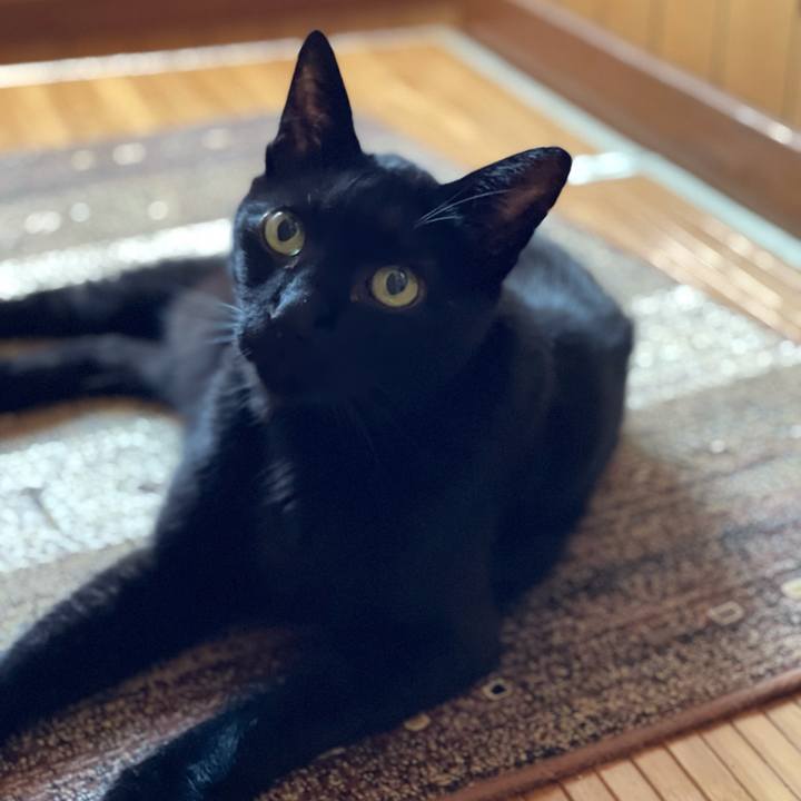 673652bb c319 4aa6 b1fc 324ebb072dcb 1631410617180