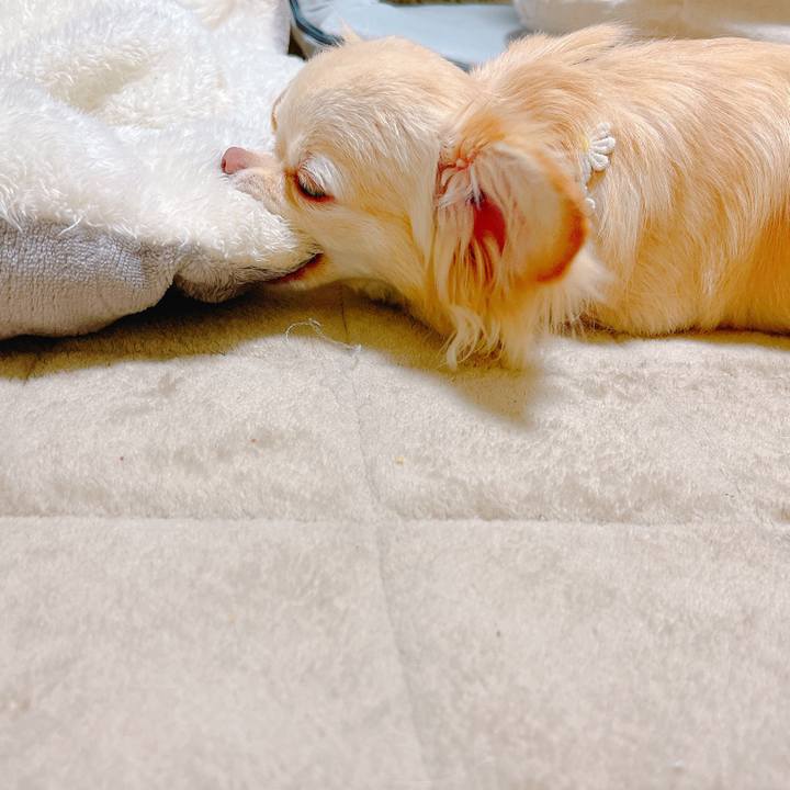 673655ef 3e7d 49ba b500 b1884c5b71e6 1648640510959