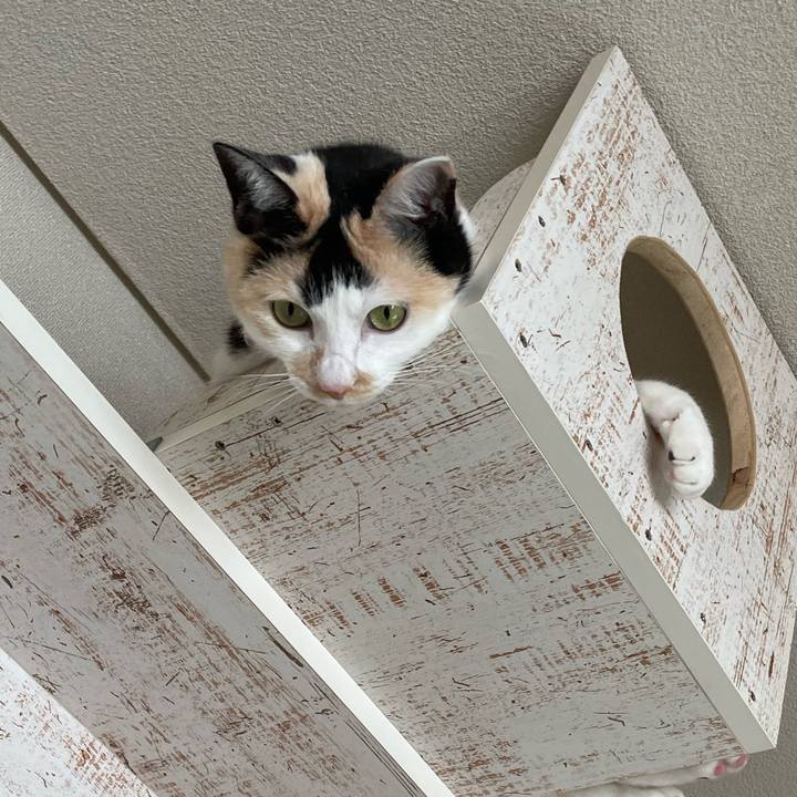 67366d8c b742 425a a47f 4aff300e8eae 1715473164594