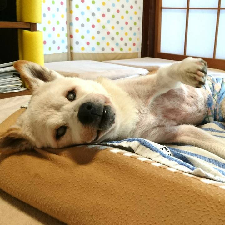 673696b5 d296 4d1b bd81 0415ea42a7d5 1534555665259