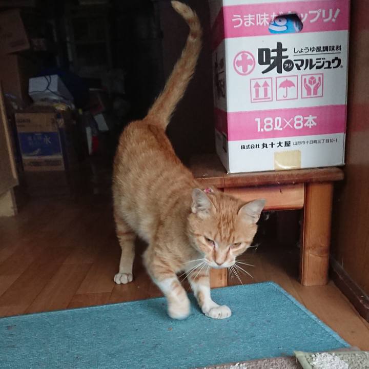 6736a565 3797 4cad ba58 1bd47461d418 1560245877355