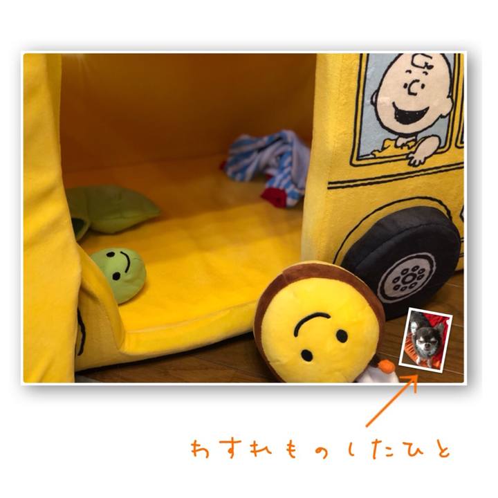 6736c7ec 12a6 43e1 bc25 af808976935b 1536394509647