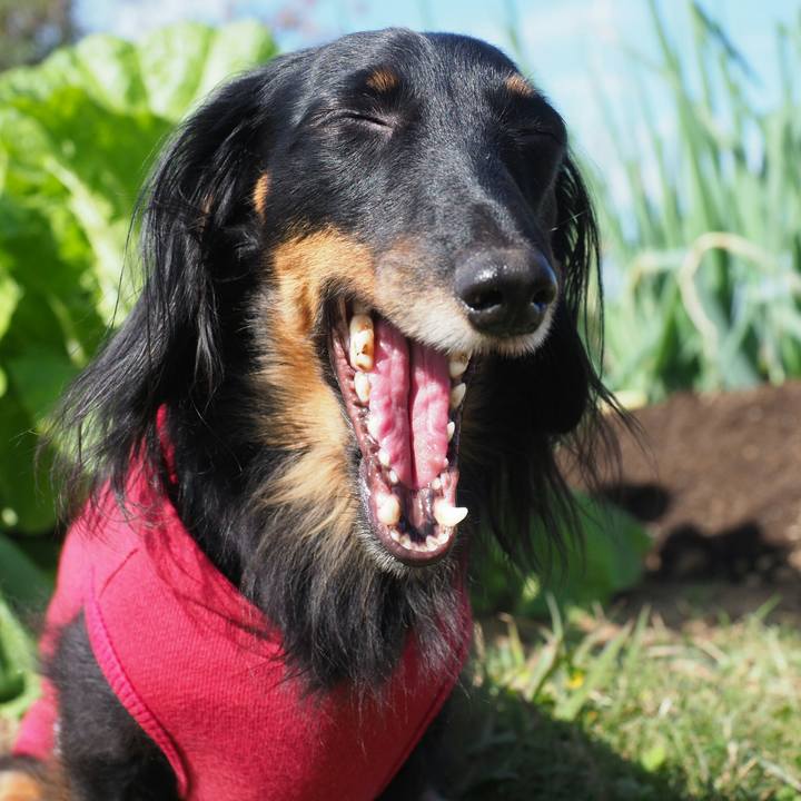 6737002b 8763 45b1 996e 5a5086663c6e 1573266302816