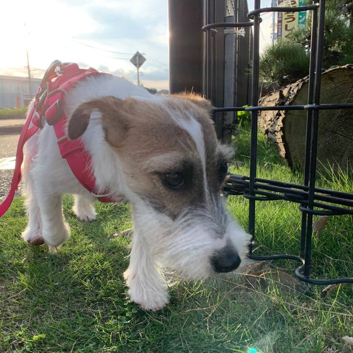 6737187c 105b 491d 8962 1f23e323006b 1571821725833