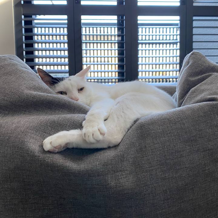 673741e4 895d 49d8 8ae2 c4da4bca6e4b 1733107143805