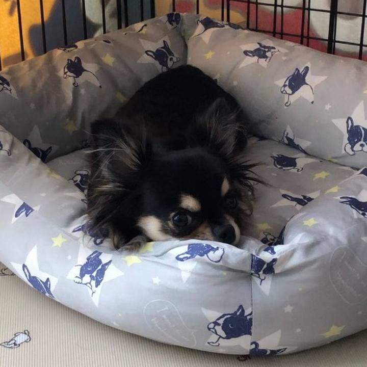 673752d4 8f19 41a9 990a a7ebe72b6540 1566173736189