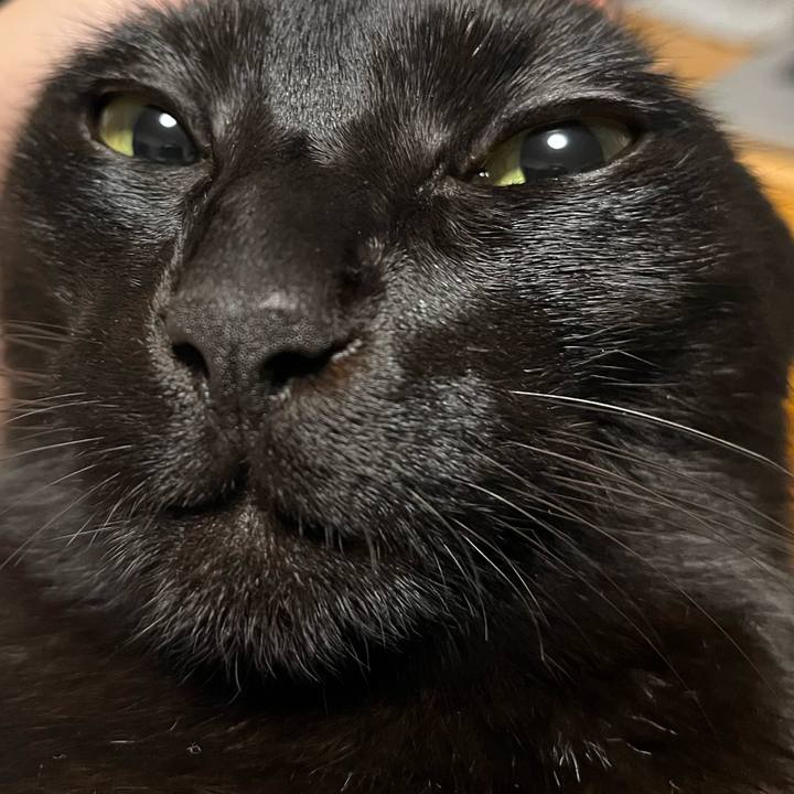 673762a0 f3a3 4126 9dd7 0b92d8f9518e 1699367080188