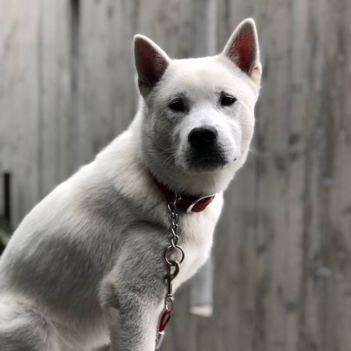 67377abe 0495 4746 8e6f 998eb4cba896 1525739332627