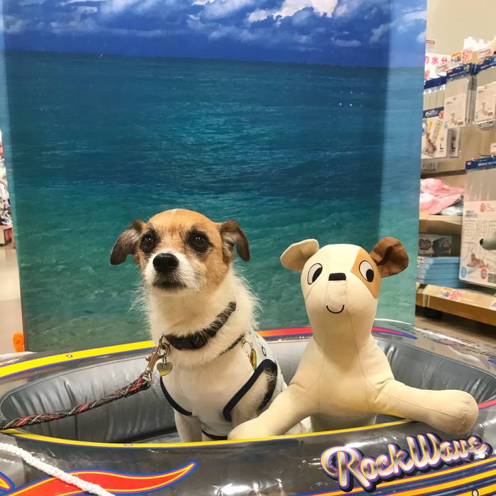 6737954c bb32 4aa2 8469 d881401178d0 1531449158548