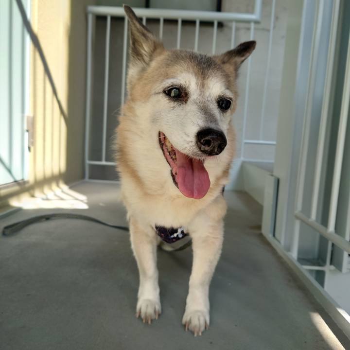 6737ba02 6fff 4bc7 b753 e224647c7ad0 1742650849394