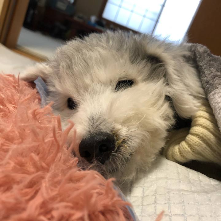 6737f76e bd96 4142 a2e4 8cfe0215eaaa 1669941068274