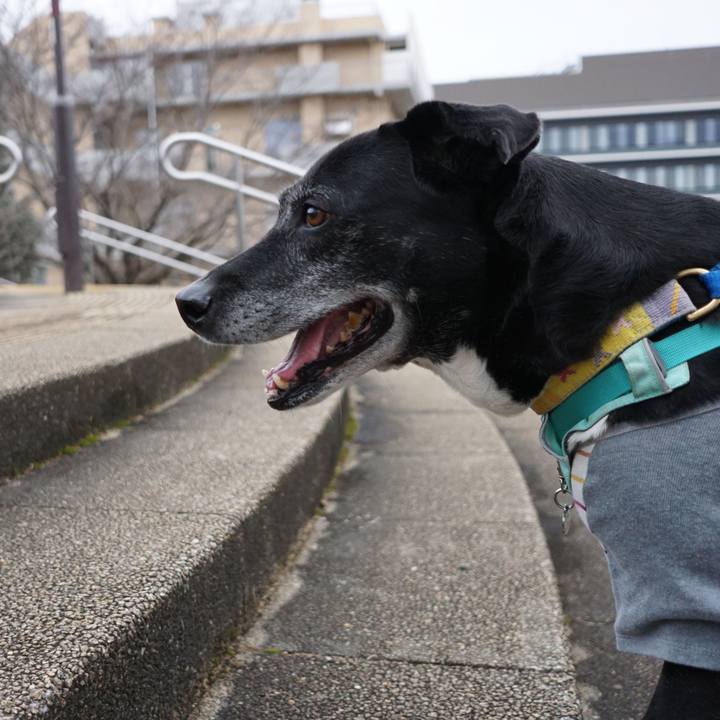 6737fca5 69e0 4d2c a827 48a6e44d861e 1771290213391