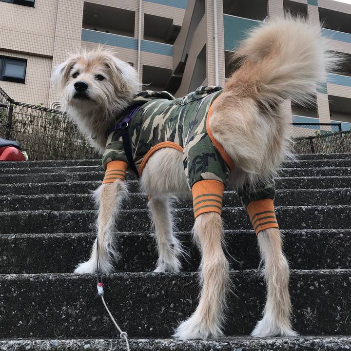 67381bac 24d5 46ce 993e b43be05fd0a1 1544497882920