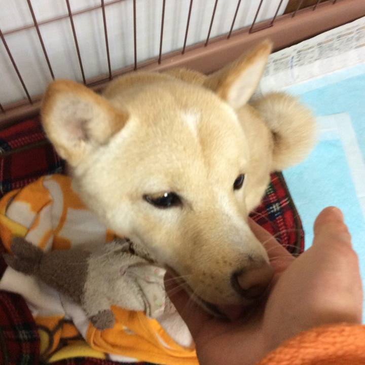 67382240 b4e6 4da8 b25d 15087ea0c7d4 1510744150479