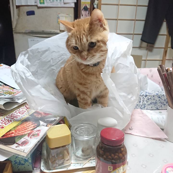 6738530b 9144 41cf 87a5 bd4386d1d13b 1640174115555