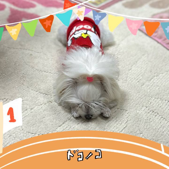 67388c4a 59b2 47f5 9a11 20e5e221b7f8 1761479224575