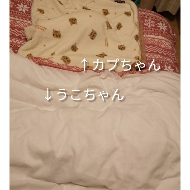 6738938b d983 4470 ab6f ae53bf0d4563 1610014627644