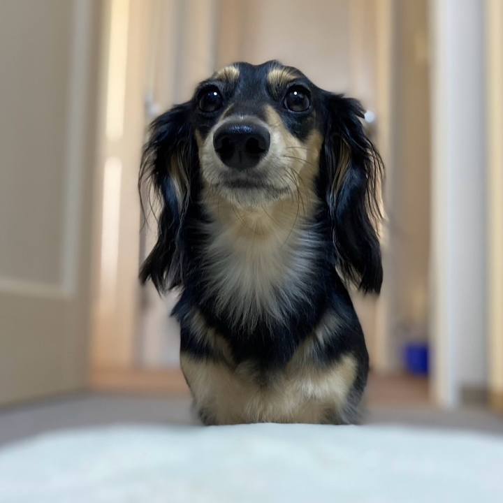 6738a680 62e7 410d 977b 0bd70b7c11ad 1732254590324