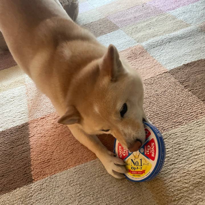 6738c833 200d 49c9 8993 51a7746be2ce 1673223127155