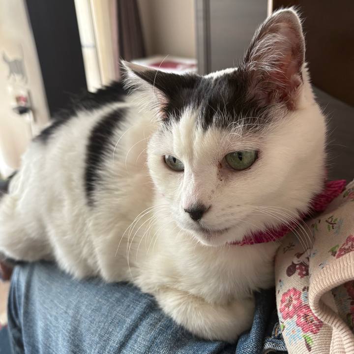 6738dc36 ebb3 466f b1c3 3ccf407fe31b 1773461057239