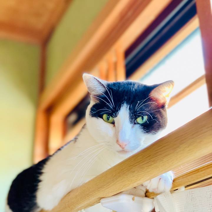 6739092e 9791 49f7 bff5 4f5b9c9ce244 1605661836436