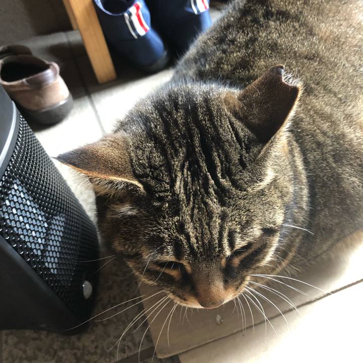 67390d6e 3f72 4e37 a5ee a83ebd6ab2e7 1585452551512