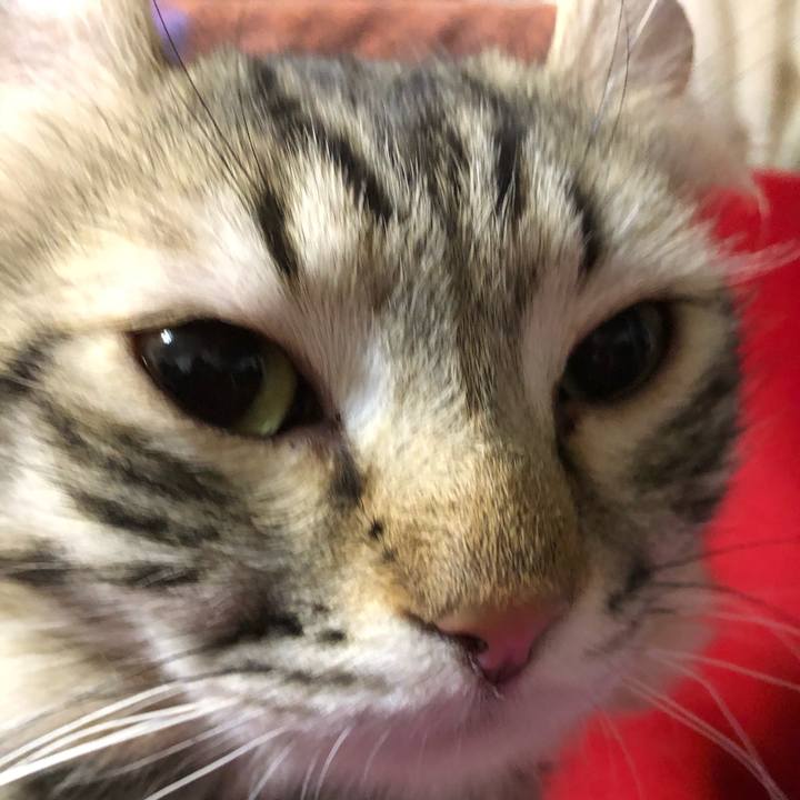 6739311f 1915 4aec 94b4 19f09d025f43 1521238957488