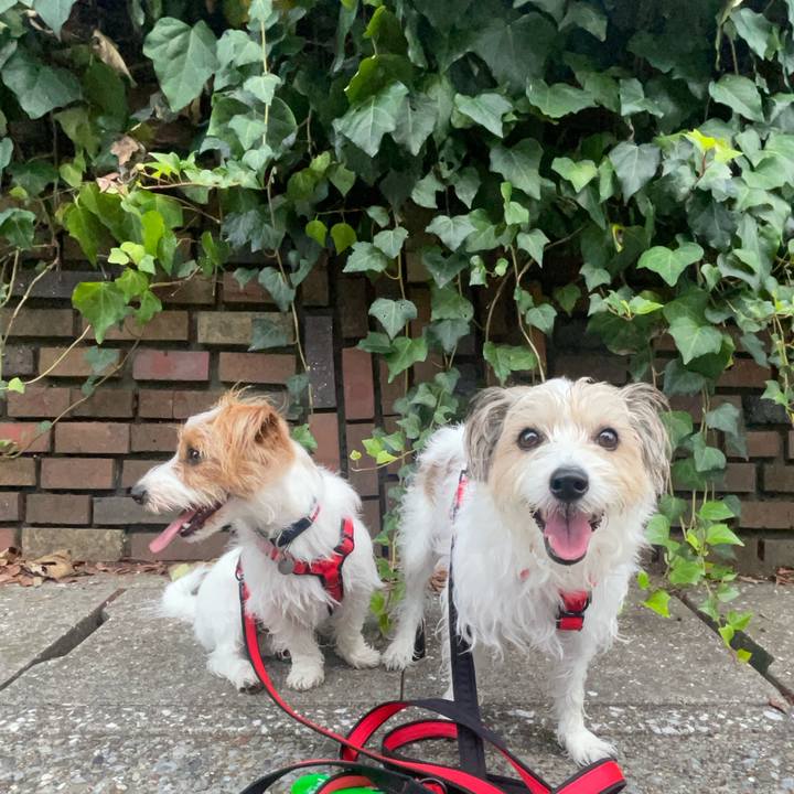 6739435b 4ec5 43f3 989d fded338286c4 1758096305516