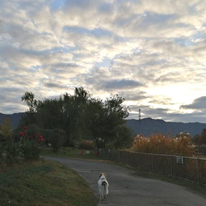 67394d6a ad68 407e 8024 748652393b24 1574295014879