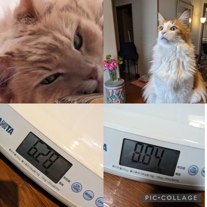 67397f90 851e 4308 b5d0 947a624f0d9b 1712188570794