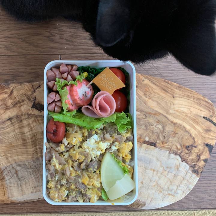 6739a975 9fc4 4ab5 b153 b377db7b07d0 1654810382474